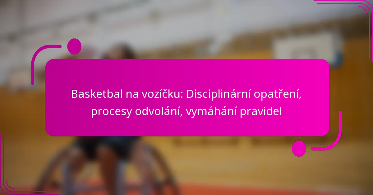 Basketbal na vozíčku: Disciplinární opatření, procesy odvolání, vymáhání pravidel