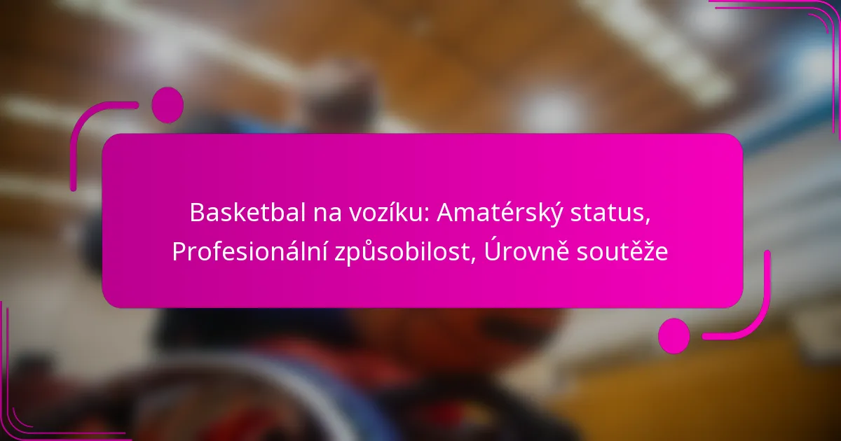 Basketbal na vozíku: Amatérský status, Profesionální způsobilost, Úrovně soutěže