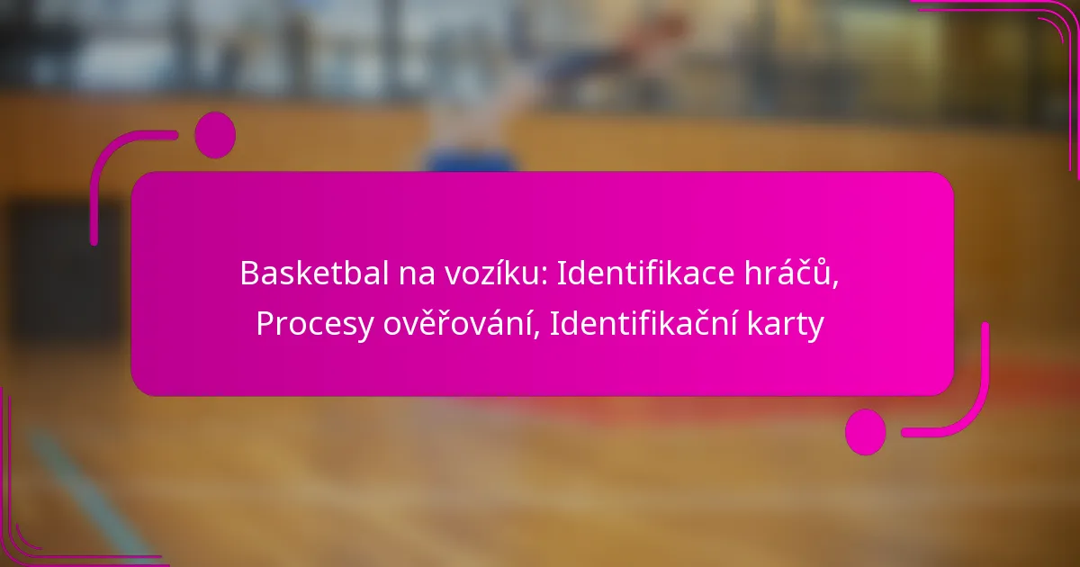 Basketbal na vozíku: Identifikace hráčů, Procesy ověřování, Identifikační karty