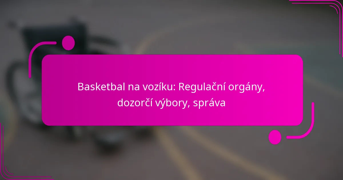 Basketbal na vozíku: Regulační orgány, dozorčí výbory, správa