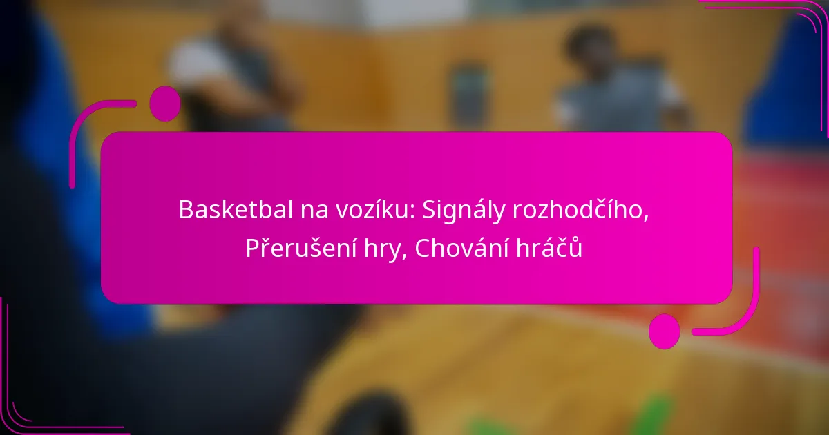 Basketbal na vozíku: Signály rozhodčího, Přerušení hry, Chování hráčů