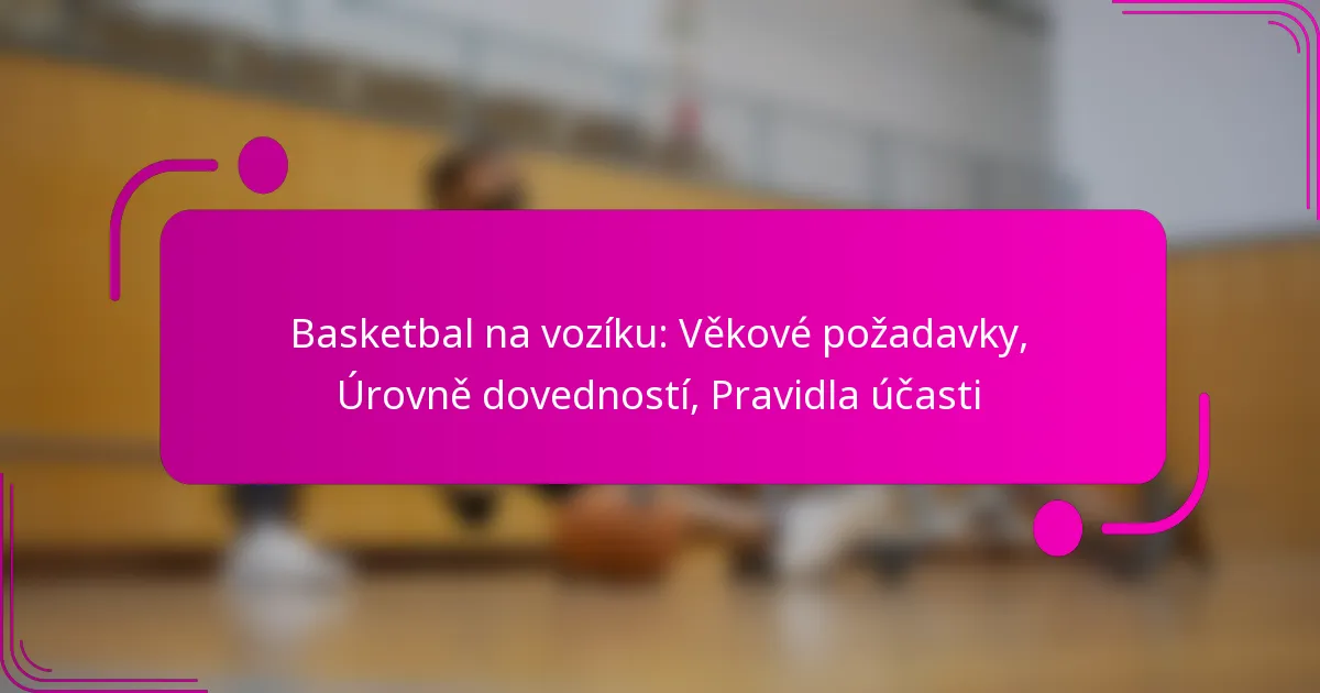 Basketbal na vozíku: Věkové požadavky, Úrovně dovedností, Pravidla účasti