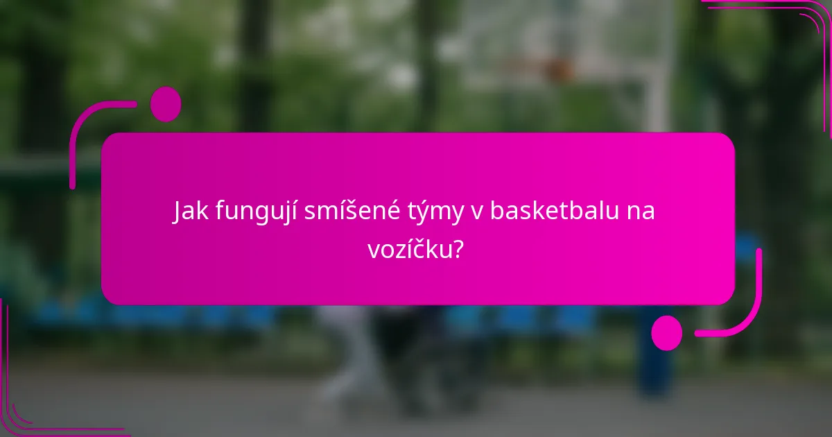 Jak fungují smíšené týmy v basketbalu na vozíčku?