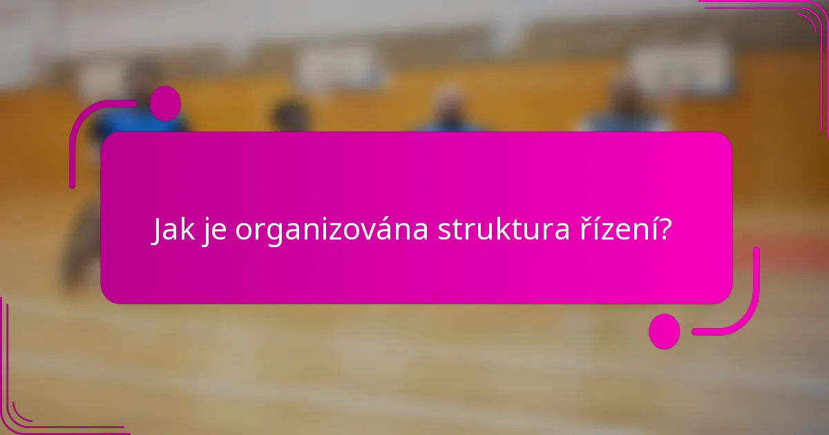 Jak je organizována struktura řízení?