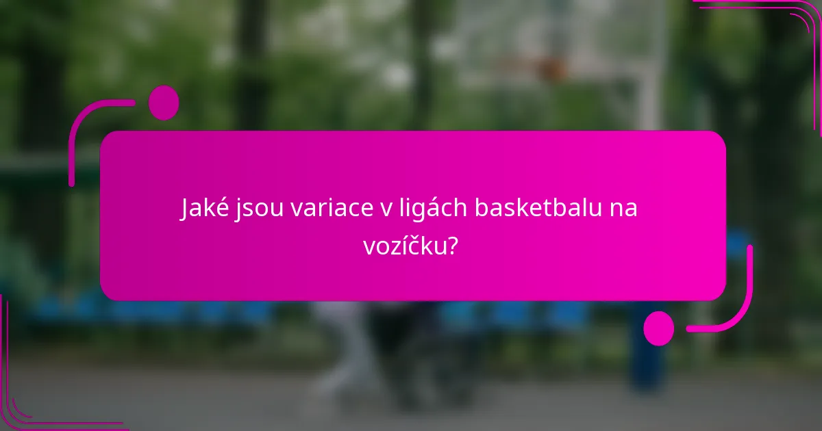 Jaké jsou variace v ligách basketbalu na vozíčku?